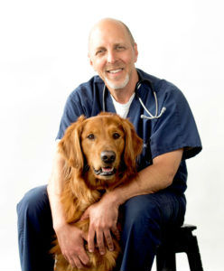 cats and dogs vet long beach